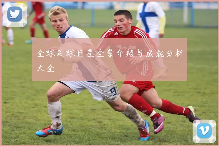 全球足球巨星全景介绍与成就分析大全