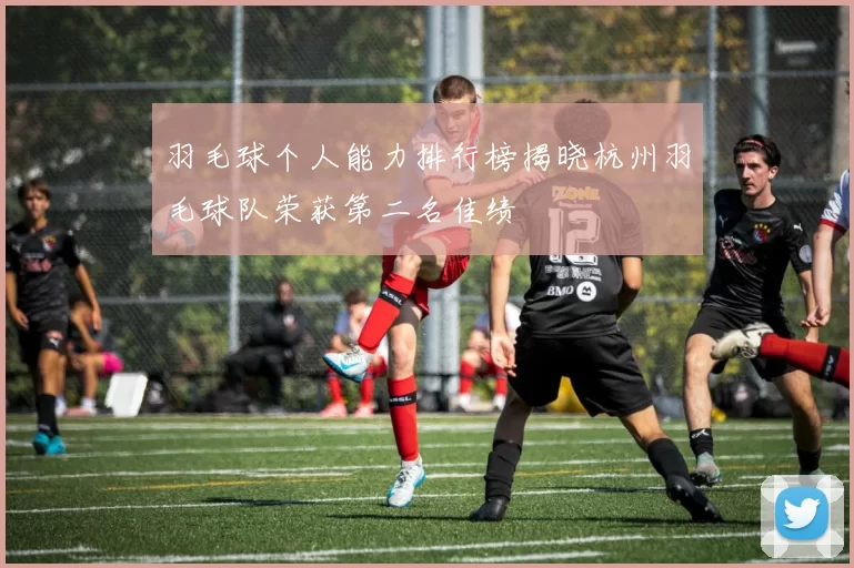 羽毛球个人能力排行榜揭晓杭州羽毛球队荣获第二名佳绩