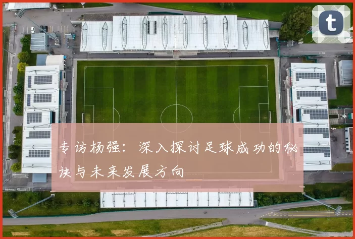 专访杨强：深入探讨足球成功的秘诀与未来发展方向