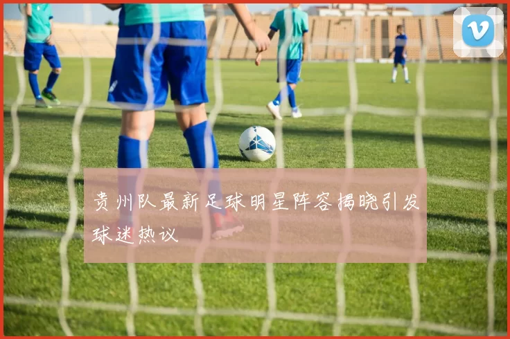 贵州队最新足球明星阵容揭晓引发球迷热议