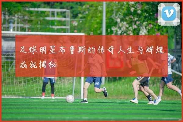 足球明星布鲁斯的传奇人生与辉煌成就揭秘